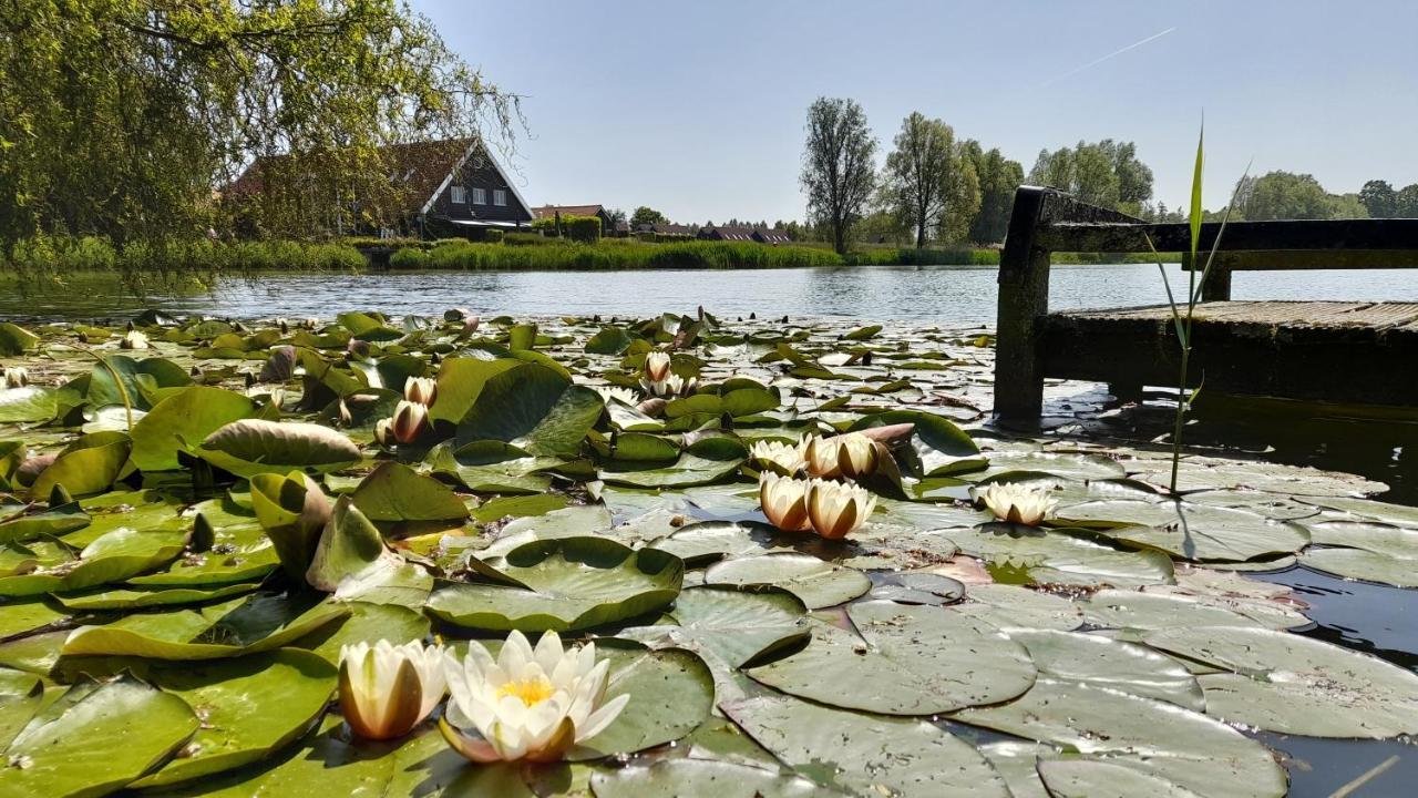 Stellechalets Op Vakantiepark Stelleplas - Heinkenszand Eksteriør bilde